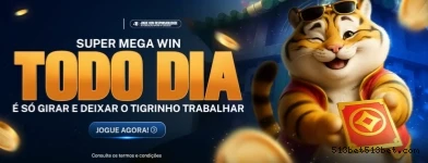 Cassino 513Bet